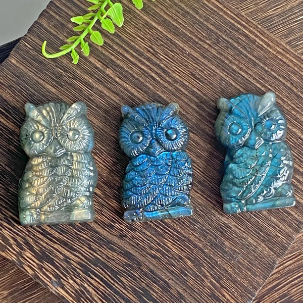 New arrivals high quality crystal crafts natural blue flash labradorite carving owl for gifts - Fairy healing crystal