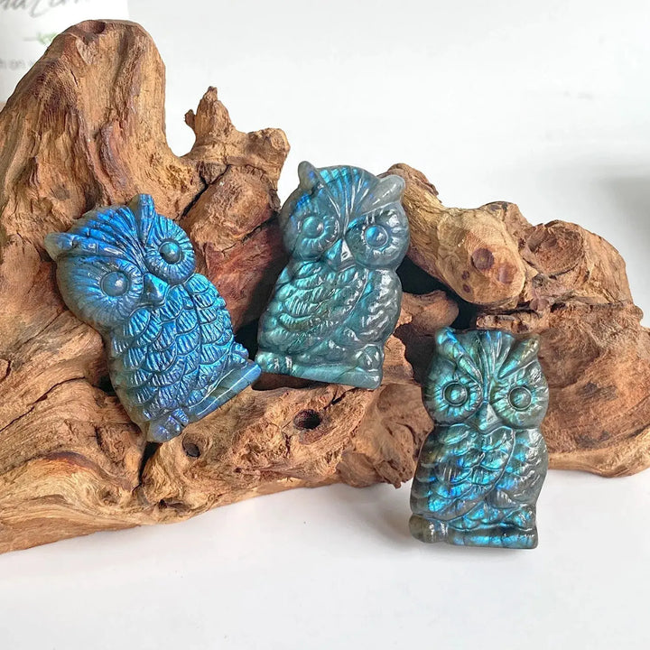 New arrivals high quality crystal crafts natural blue flash labradorite carving owl for gifts - Fairy healing crystal