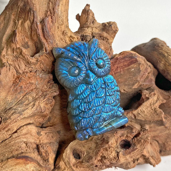 New arrivals high quality crystal crafts natural blue flash labradorite carving owl for gifts - Fairy healing crystal