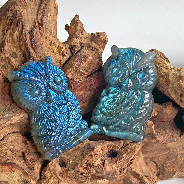 New arrivals high quality crystal crafts natural blue flash labradorite carving owl for gifts - Fairy healing crystal