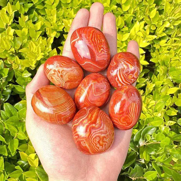 Natural Red Agate Tumbled Stones & Palm Stone