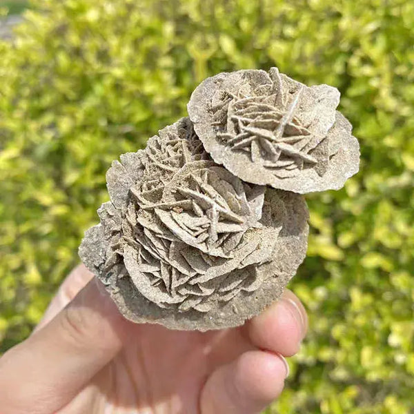 High Quality Crystal Crafts Natural Desert Rose Crystal Minerals Rock Specimens For Gift Decoration