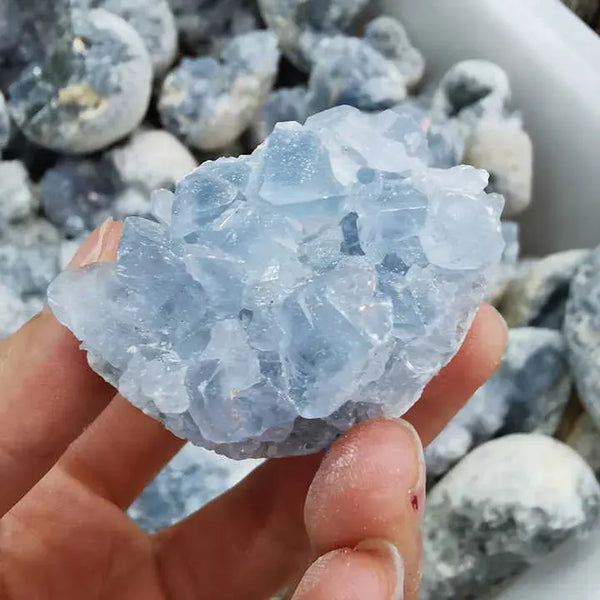 Natural Celestite Clusters & Geode